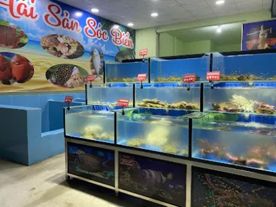 hải sản sóc biển - nhà hàng hải sản hải sản sóc biển - nhà hàng hải sản