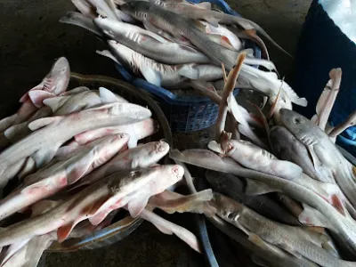 hải sản trần đề - cửa hàng hải sản khô