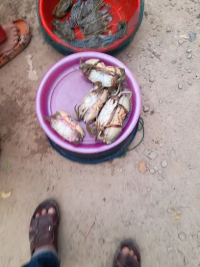 hải sản tươi sạch chợ đầu mối phú hậu - nhà hàng hải sản hải sản tươi sạch chợ đầu mối phú hậu - nhà hàng hải sản