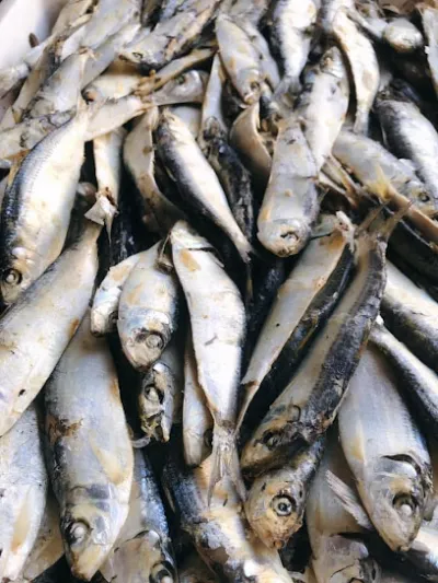hải sản tươi sống quỳnh lưu - nhà hàng hải sản