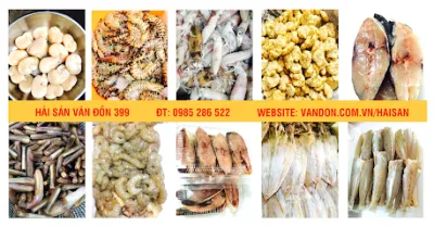 hải sản vân đồn 399 - nhà bán buôn hải sản