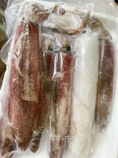 hải sản vân đồn - quảng ninh - nhà bán buôn hải sản