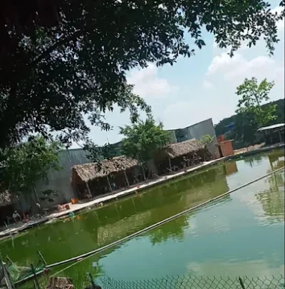 hầm câu cá giải trí bảy sĩ - trại câu cá