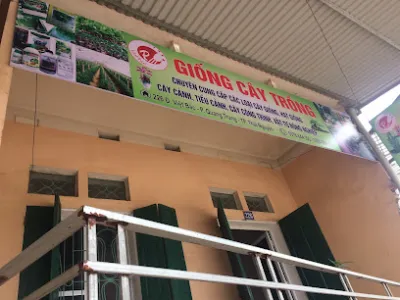 hạt giống vin phúc shop (tổng hợp ) - siêu thị