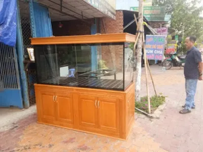 hồ cá bình dương - cửa hàng cá cảnh