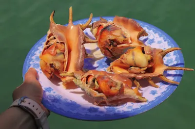 hồ cá làng dương - nhà hàng