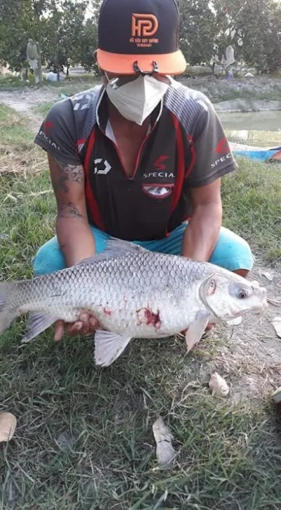 hồ câu cá a bò - câu lạc bộ câu cá