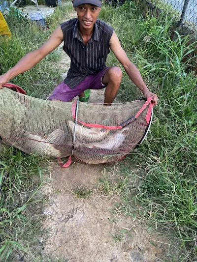 hồ câu cá ba anh em - câu lạc bộ câu cá