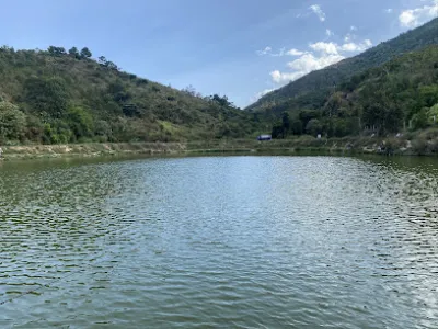 hồ câu cá cô thu - trại câu cá
