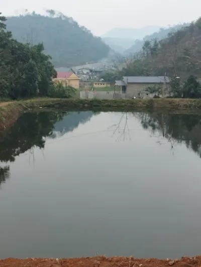 hồ câu cá đồng nguyễn - trường mầm non