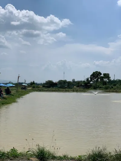 hồ câu cá giải trí an nhơn - câu lạc bộ câu cá