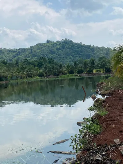 hồ câu cá giải trí ba hoa bàu môn - trại câu cá