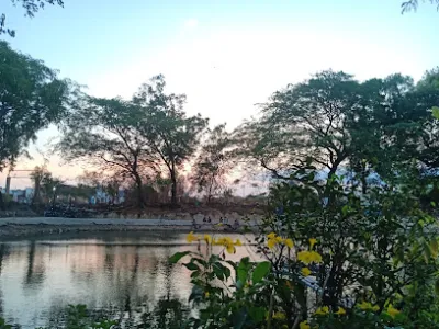 hồ câu cá giải trí bình long - câu lạc bộ câu cá