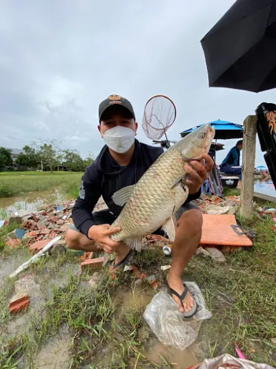 hồ câu cá giải trí cây cốc - sân chơi