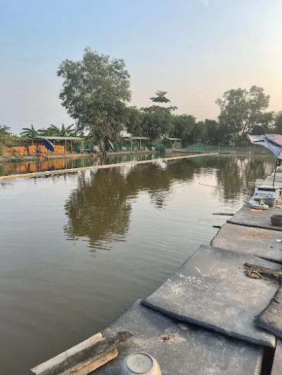 hồ câu cá giải trí hóc môn - câu lạc bộ câu cá