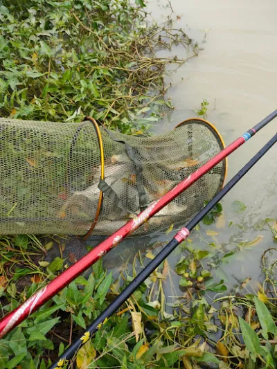 hồ câu cá giải trí huỳnh lộc - sân chơi