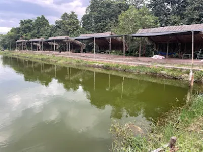 hồ câu cá giải trí ngọc thịnh - câu lạc bộ thể thao