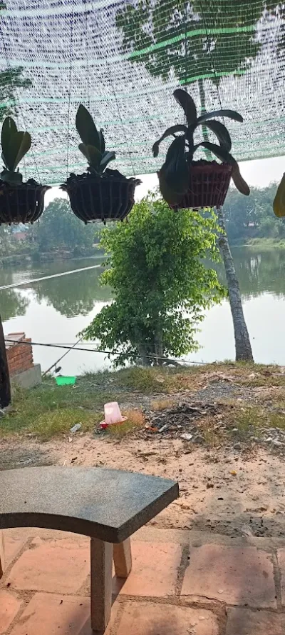 hồ câu cá giải trí ngọc thúy - trại câu cá