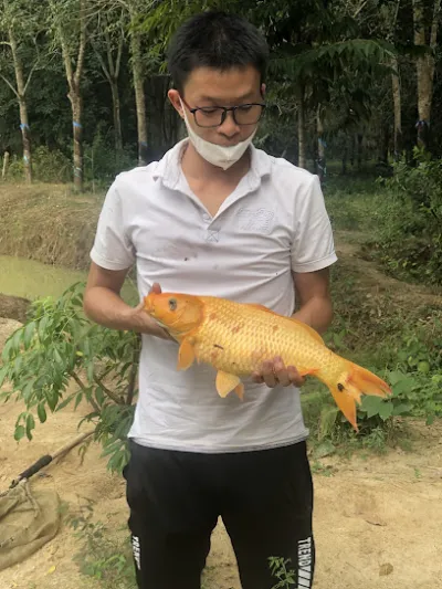 hồ câu cá giải trí ông thống - trại câu cá