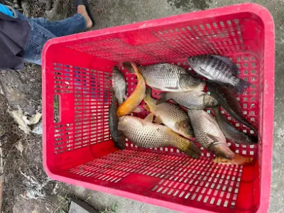 hồ câu cá giải trí tám lành - câu lạc bộ câu cá