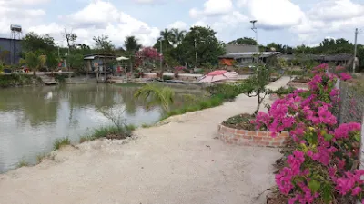 hồ câu cá giải trí vương tô, thôn 2, tân hà. - trại câu cá