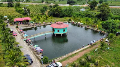 hồ câu cá giải trí xeluthuan - sân chơi