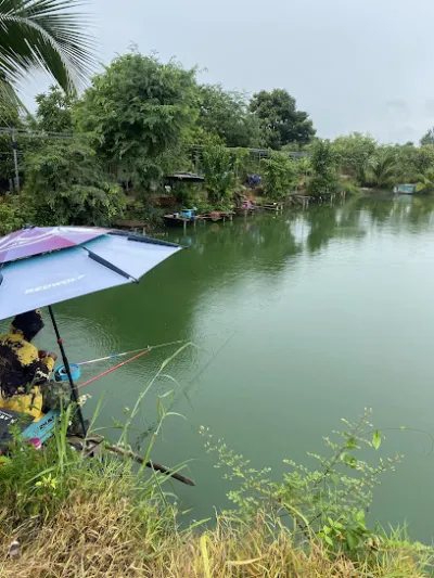 hồ câu cá hoàng yến 02 - sân chơi
