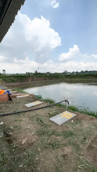 hồ câu cá tam phúc - câu lạc bộ câu cá