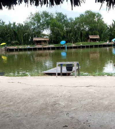 hồ câu cá tra hoàng hải - câu lạc bộ câu cá