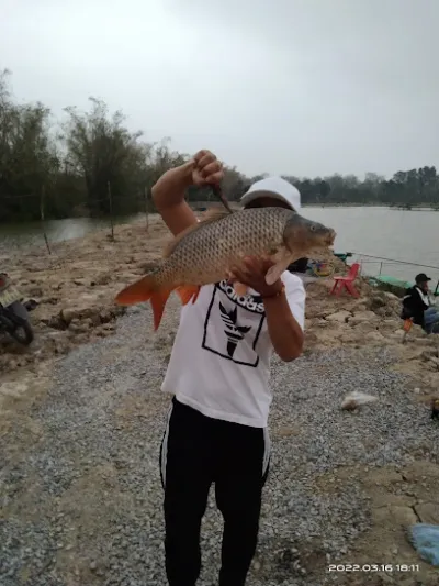 hồ câu cá trung nghĩa - trại câu cá