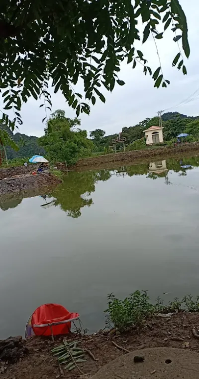 hồ câu chu lai - câu lạc bộ câu cá