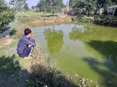 hồ câu cương hằng - nhà hàng