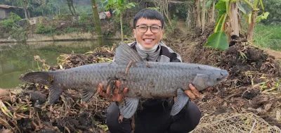 hồ câu đài nguyễn dũng - câu lạc bộ câu cá