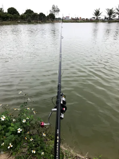 hồ câu đáy cát - nhà hàng