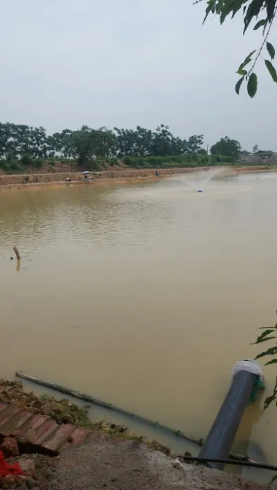 hồ câu đông mai - câu lạc bộ câu cá