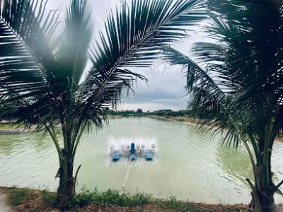 hồ câu đồng việt - câu lạc bộ câu cá