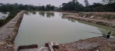 hồ câu giải trí khôi minh - câu lạc bộ câu cá