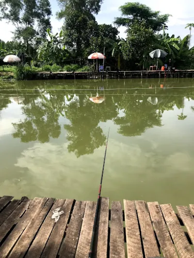 hồ câu giải trí vườn tràm 2 - điểm thu hút khách du lịch