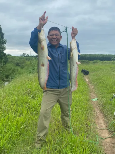 hồ câu hải lăng - sân chơi