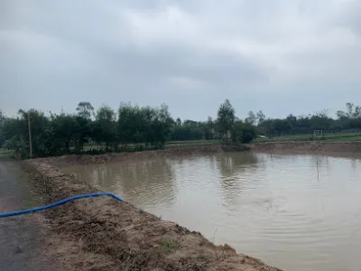 hồ câu hải móm - câu lạc bộ câu cá hồ câu hải móm - câu lạc bộ câu cá