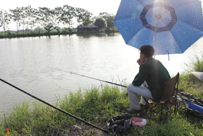 hồ câu huy việt - câu lạc bộ câu cá