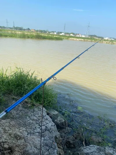 hồ câu lure nông cống - câu lạc bộ câu cá