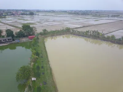 hồ câu luyện hồng - câu lạc bộ câu cá