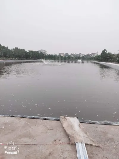 hồ câu minh tâm - trại câu cá