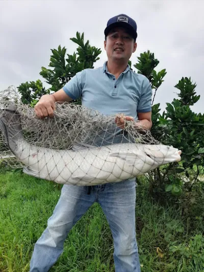 hồ câu phan tập - trại câu cá