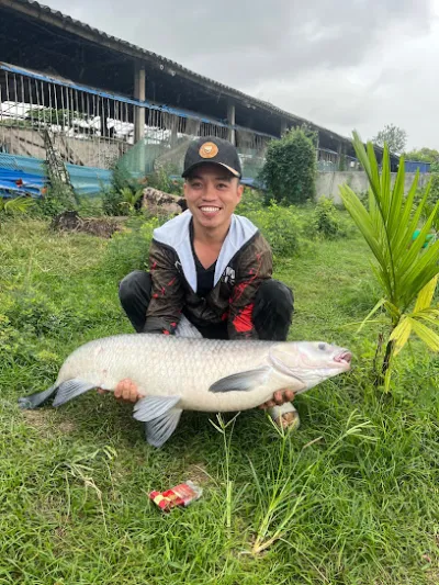 hồ câu phong quang - trang trại