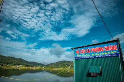 hồ câu phượng hoàng - trại câu cá