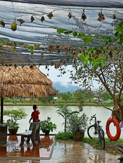 hồ câu tấn dũng - câu lạc bộ câu cá
