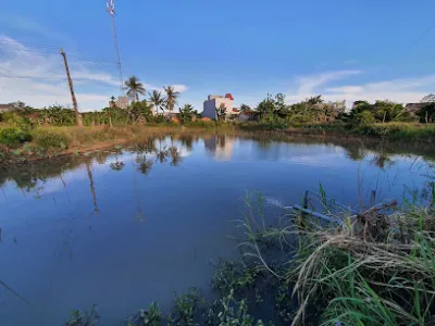 hồ câu tấn nhị - câu lạc bộ câu cá