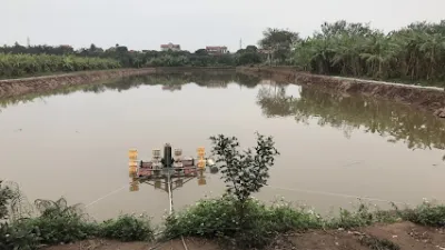 hồ câu trần gia - trại câu cá